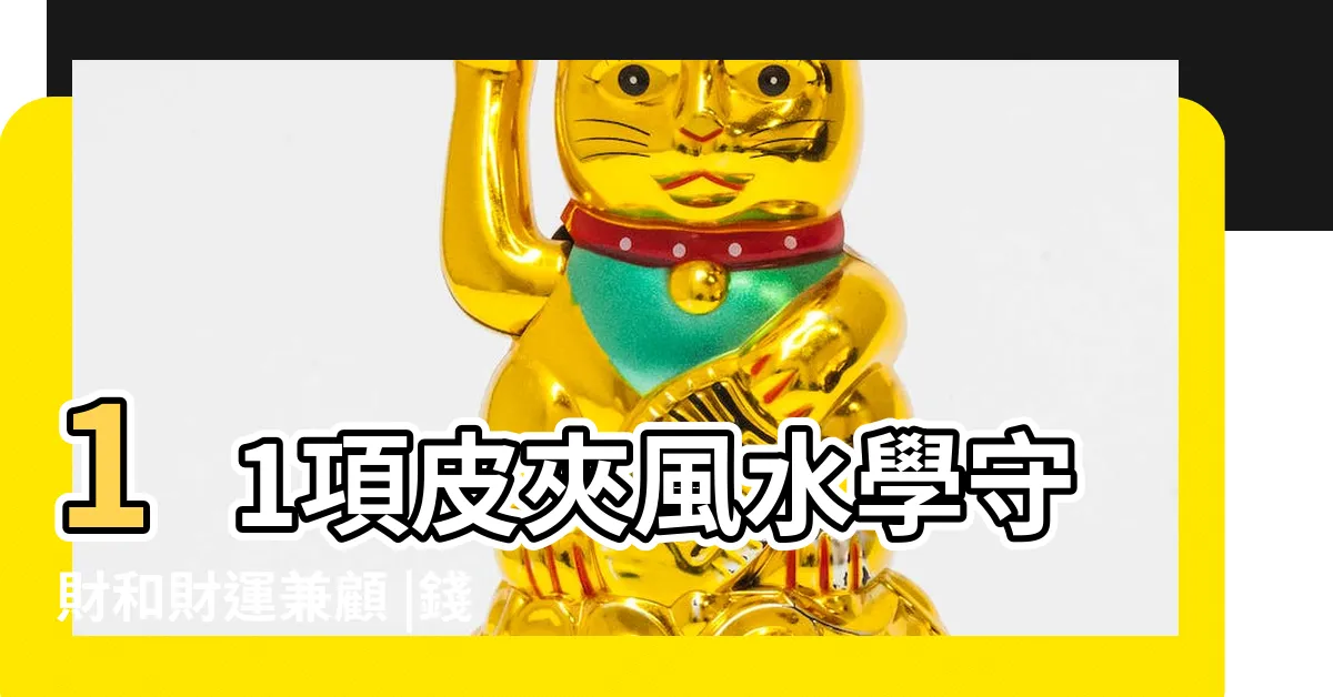 【招財皮包】11項皮夾風水學守財和財運兼顧 |錢包千萬別用這3個顏色 |開運錢包怎麼選 |