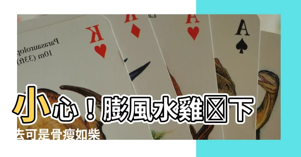 【膨風水雞刣無肉】小心！膨風水雞刣下去可是骨瘦如柴