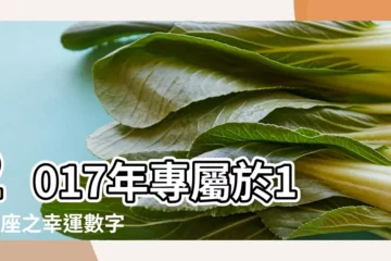 【2017年12星座幸運數字】2017年專屬於12星座之幸運數字 |2017各星座幸運數字大揭密 |2017年看到這幾個數字千萬不要錯過 |