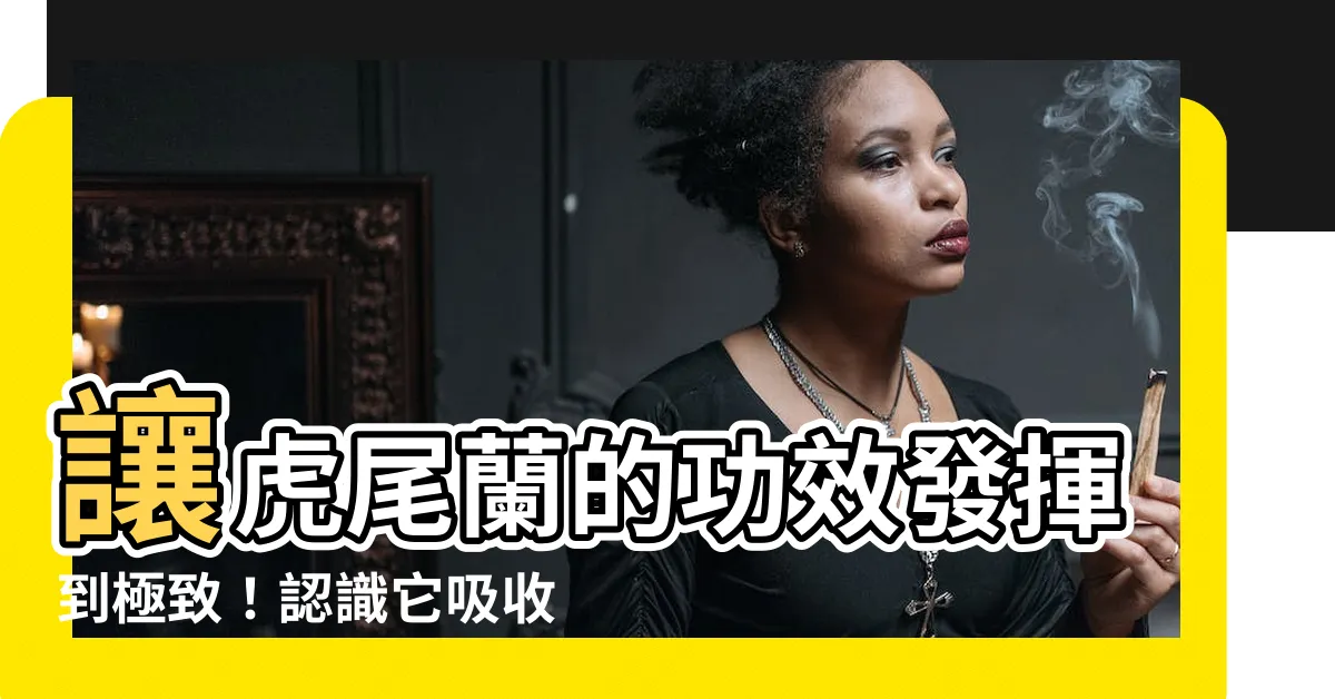 【虎尾蘭的功效】讓虎尾蘭的功效發揮到極致！認識它吸收有害氣體、避厄招福的秘密
