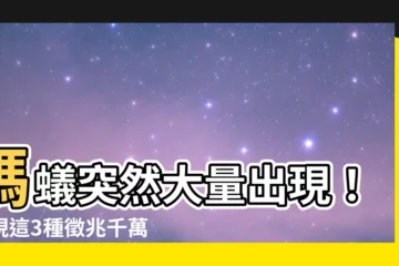 【螞蟻突然大量出現】螞蟻突然大量出現！出現這3種徵兆千萬不能忽視
