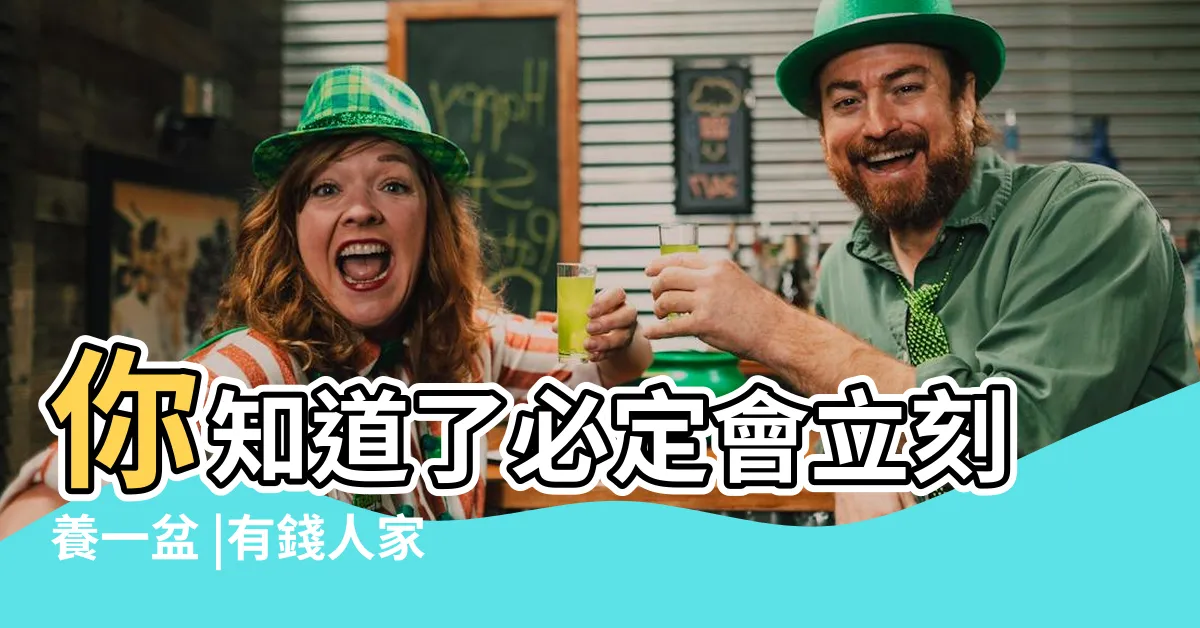 【如意皇后風水】你知道了必定會立刻養一盆 |有錢人家都愛養 |如意皇后的風水作用擺放位置及風水禁忌 |