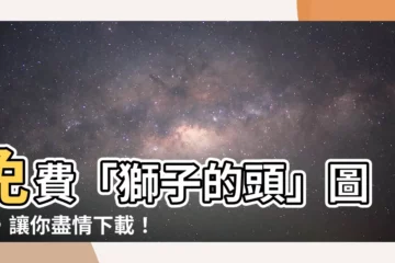 【獅子的頭】免費「獅子的頭」圖庫，讓你盡情下載！
