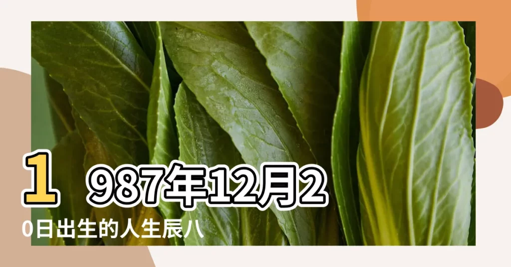 1987年12月20日出生的人生辰八字測算 |1987年12月20日出生的人的性格命運 |農曆1987年12月20日生日算命 |【農曆87年12月20女】