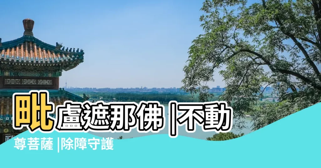 毗盧遮那佛 |不動尊菩薩 |除障守護主 |【不動尊菩薩無無相明王】