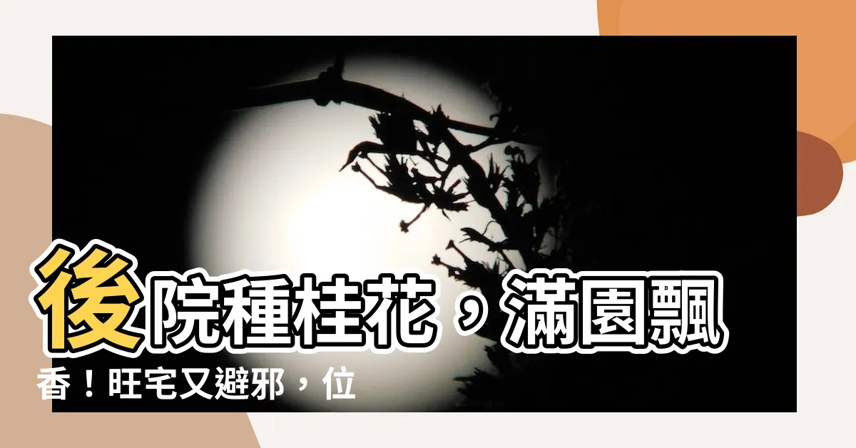【後院種桂花】後院種桂花，滿園飄香！旺宅又避邪，位置選對錢財滾滾來