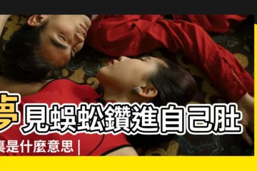 【夢見蜈蚣鑽進肚子】夢見蜈蚣鑽進自己肚子裏是什麼意思 |夢見蜈蚣從身體鑽出 |夢見蜈蚣從肚子裡出來 |