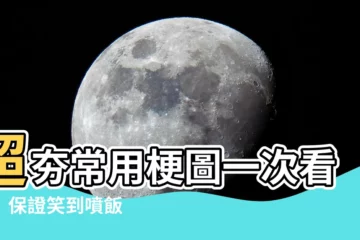 【常用梗圖】超夯常用梗圖一次看懂！保證笑到噴飯