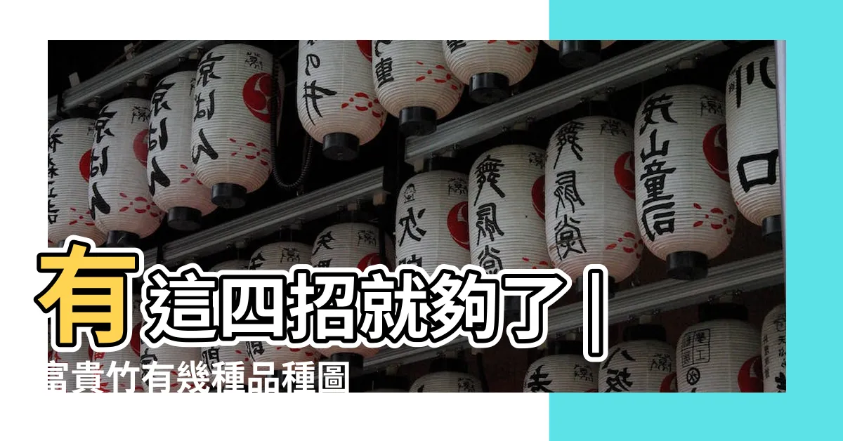 【富貴竹種類】有這四招就夠了 |富貴竹有幾種品種圖片 |傻分不清 |