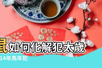 【2014屬兔犯太歲】鼠如何化解犯太歲 |2014年馬年犯太歲如何化解 |2014年馬年犯太歲生肖馬 |