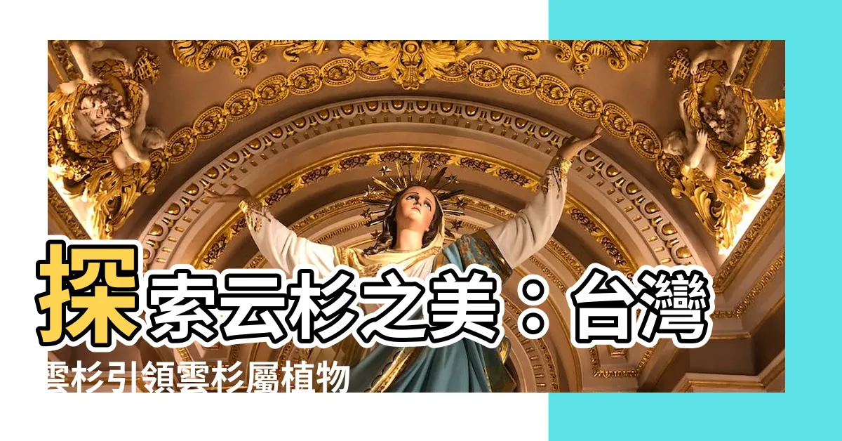 【雲杉】探索雲杉之美：台灣雲杉引領雲杉屬植物的璀璨世界