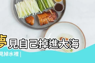 【周公解夢 冰裂了自己掉海里】夢見自己掉進大海 |夢見掉水裡 |