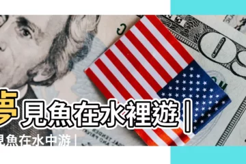 【女人夢見魚在水裏遊來游去】夢見魚在水裡遊 |夢見魚在水中游 |夢見魚在水裡遊 |