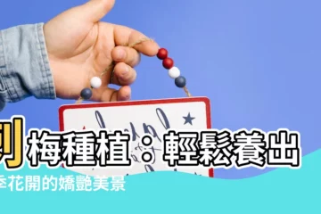 【刺梅 種植】刺梅種植：輕鬆養出四季花開的嬌艷美景