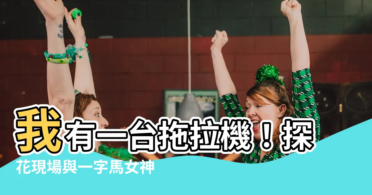 【我有一台拖拉機 探花】我有一台拖拉機！探花現場與一字馬女神的激情的夜晚