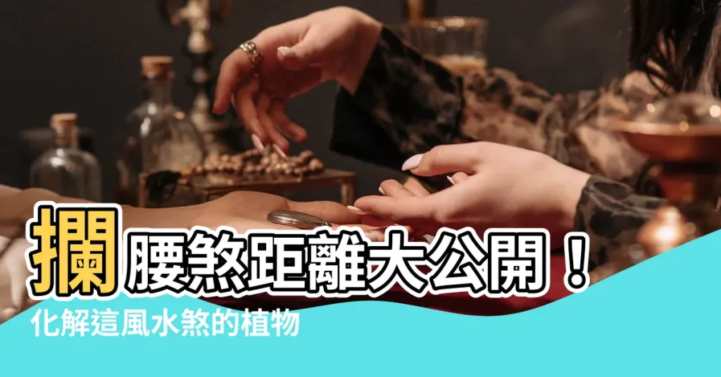 【攔腰煞距離】攔腰煞距離大公開！化解這風水煞的植物有驚喜