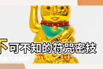 【符膽咒】不可不知的符咒密技：符膽咒大解析