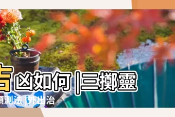 【危秋結怎麼樣周易預測】吉凶如何 |三擲靈卦預測法 |外出治病 |