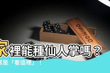 【家裡可以種仙人掌嗎】家裡能種仙人掌嗎？答案是「看這裡」！