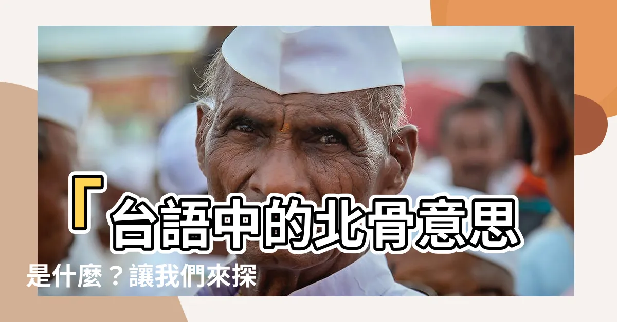 【北骨 意思】「台語中的北骨意思是什麼？讓我們來探索關於背骨、脊骨的故事」