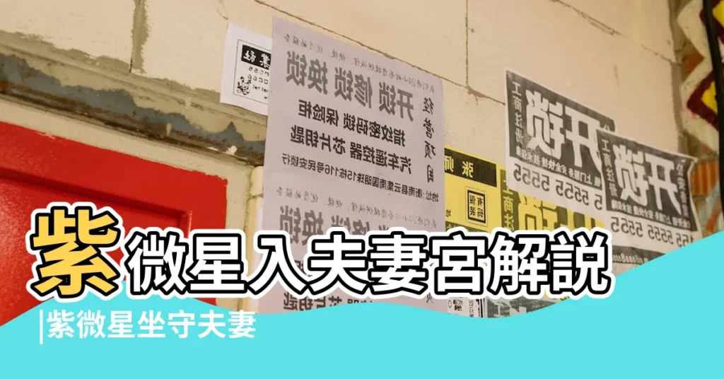 紫微星入夫妻宮解説 |紫微星坐守夫妻宮的分析 |夫妻宮持紫微諸星意義 |【紫微星 夫妻宮】