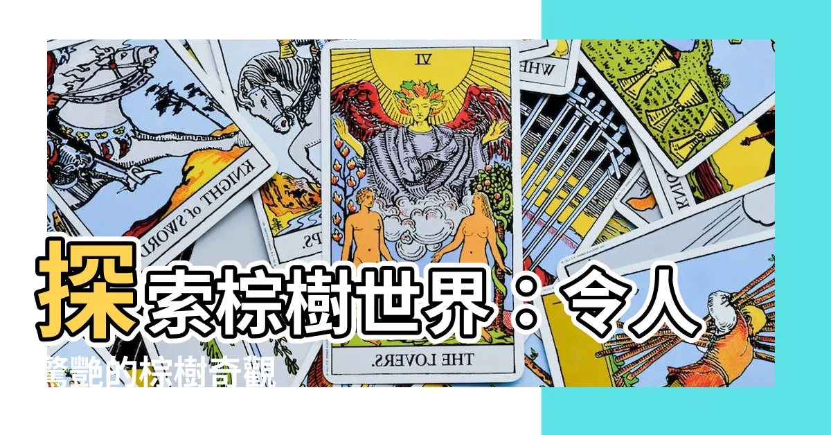 【棕樹】探索棕樹世界：令人驚艷的棕樹奇觀