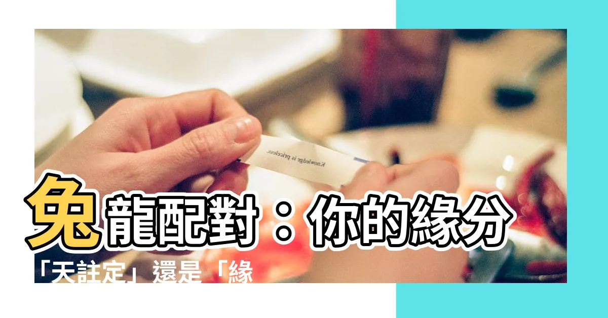 【兔龍配對】兔龍配對：你的緣分「天註定」還是「緣分已盡」？