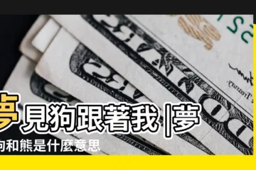 【夢見狗和熊跟着我】夢見狗跟著我 |夢到狗和熊是什麼意思 |夢見狗和熊 |