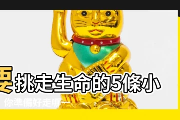 【要進】要挑走生命的5條小路！你準備好走哪一條？