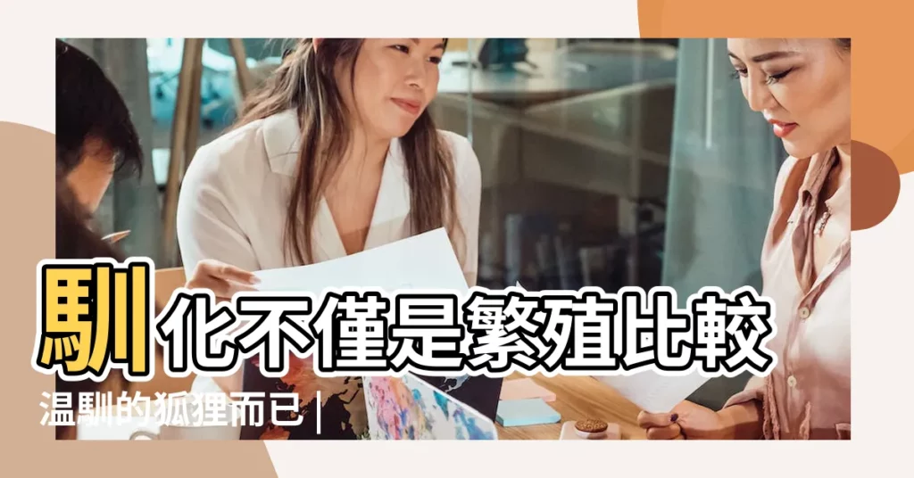 馴化不僅是繁殖比較温馴的狐狸而已 |科學家DNA測試篩選馴化野生狐狸變寵物 |穿越到唐代千萬不要做的五種人 |【狐狸能變成人嗎】