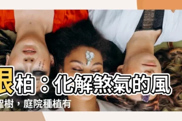 【銀柏風水】銀柏：化解煞氣的風水聖樹，庭院種植有大學問！