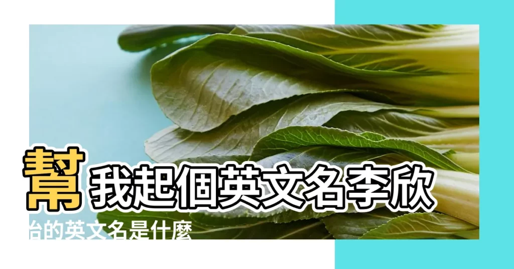 幫我起個英文名李欣怡的英文名是什麼 |【李欣怡英文名】