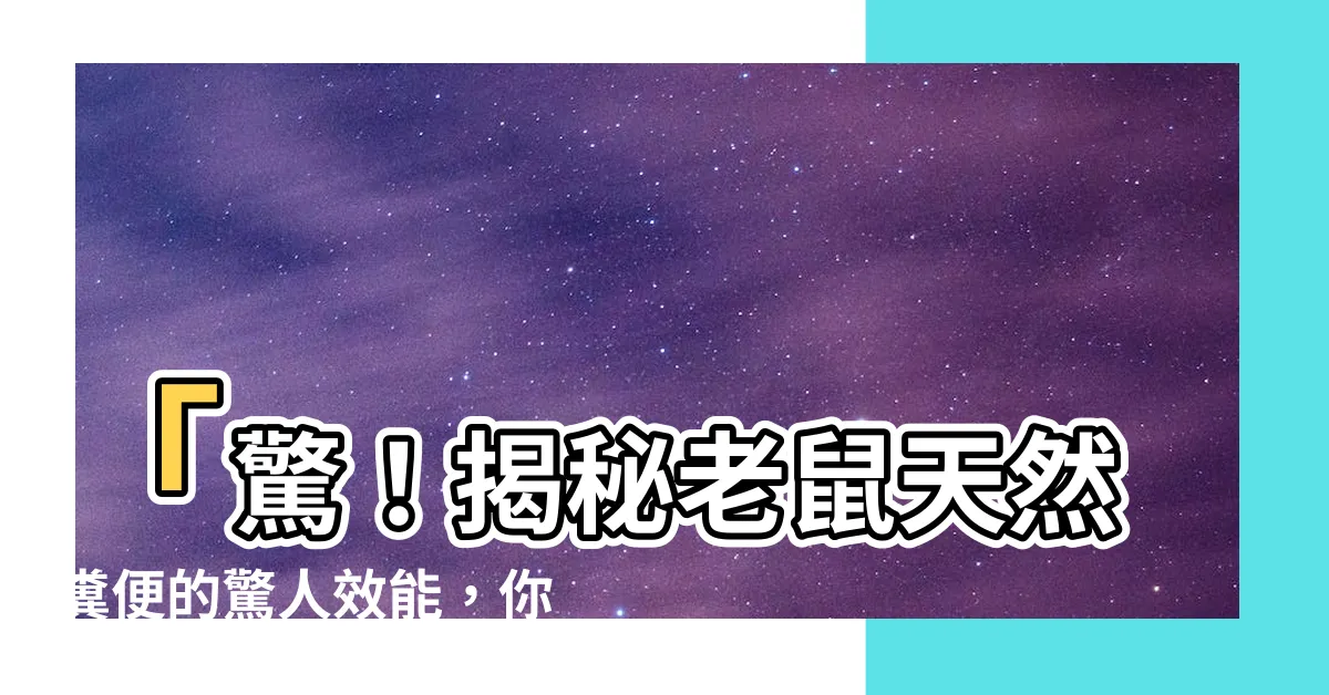 【老鼠的屎】「驚！揭秘老鼠天然糞便的驚人效能，你絕對想知道！」