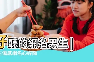 【男人傷感的網名霸氣網名】好聽的網名男生 |男生傷感網名心碎簡單 |霸氣男生網名 |
