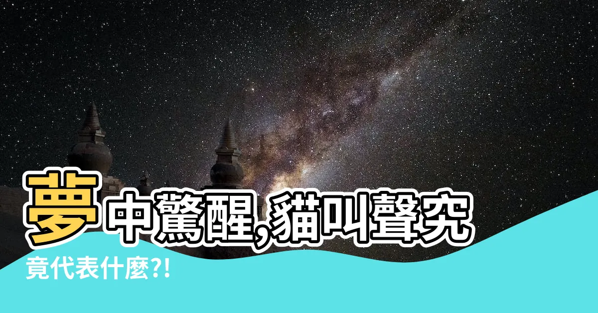 【夢到貓叫聲】夢中驚醒,貓叫聲究竟代表什麼?!