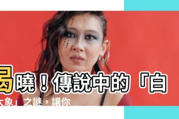 【白色大象】揭曉！傳説中的「白色大象」之謎，讓你見識非凡景象！