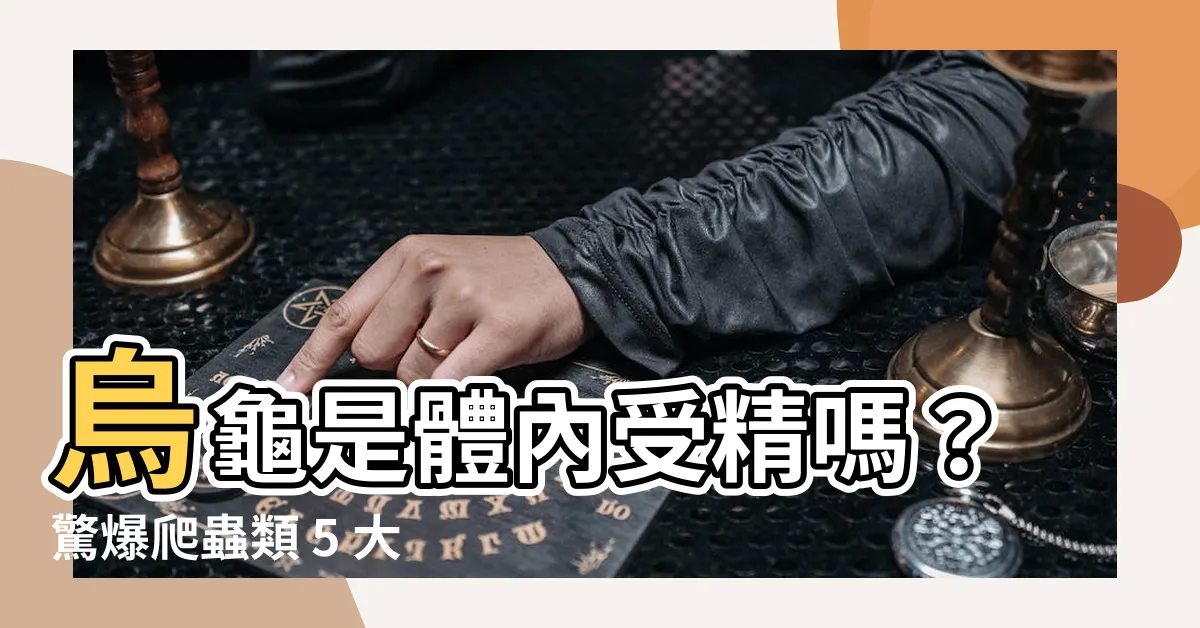 【烏龜是體內受精嗎】烏龜是體內受精嗎？驚爆爬蟲類 5 大冷知識！