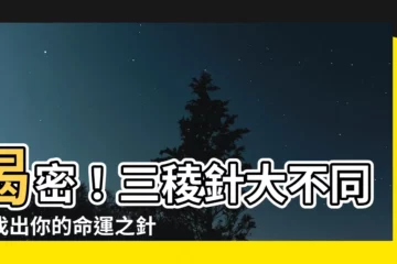 【三稜針】揭密！三稜針大不同，找出你的命運之針