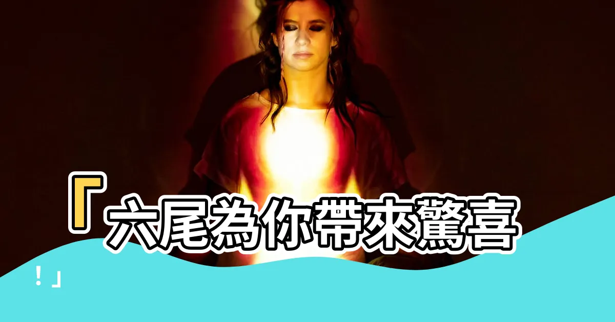 【六尾】「六尾為你帶來驚喜！」