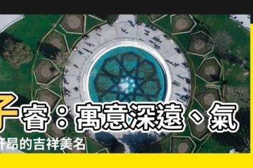 【子睿 意思】子睿：寓意深遠、氣宇軒昂的吉祥美名