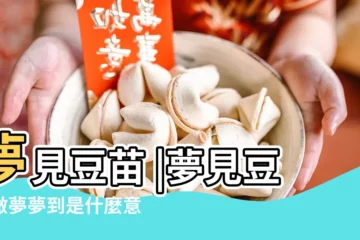 【周公解夢夢到豆苗】夢見豆苗 |夢見豆苗做夢夢到是什麼意思會怎麼樣好不好 |夢見豆苗 |