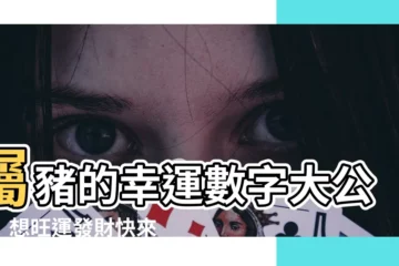 【屬豬的幸運數字】屬豬的幸運數字大公開！想旺運發財快來一探究竟！