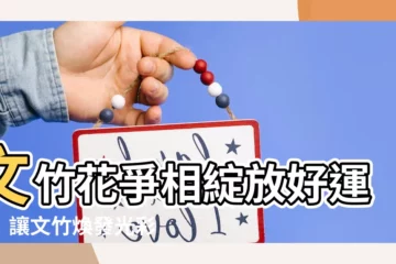 【文竹花】文竹花爭相綻放好運氣！讓文竹煥發光彩，年年盛開結種子！