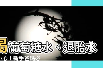 【退胎水】喝葡萄糖水、退胎水…小心！新手爸媽必知四大新生兒照護迷思