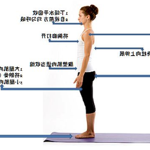 4、你真的知道怎麼站嗎?瑜伽山式講解