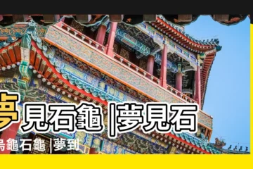 【夢見石頭龜像】夢見石龜 |夢見石頭烏龜石龜 |夢到石龜是什麼意思 |