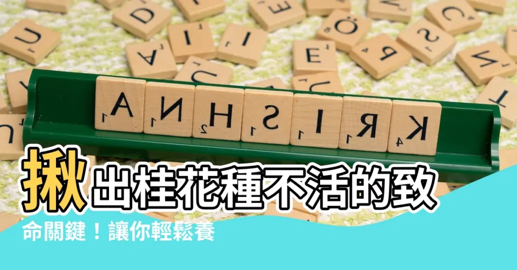 【桂花種不活】揪出桂花種不活的致命關鍵!讓你輕鬆養出滿屋馨香