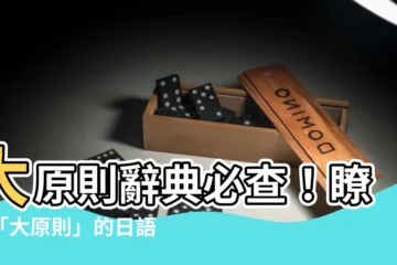【大原則】大原則辭典必查！瞭解「大原則」的日語意義