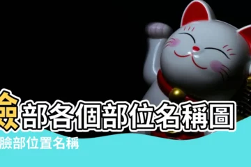 【臉上部位名稱圖】臉部各個部位名稱圖 |人臉部位置名稱詳細圖 |臉部部位名稱詳細圖解 |