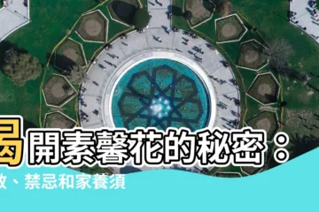 【素馨花禁忌】揭開素馨花的秘密：功效、禁忌和家養須知
